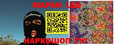 стаф Можга