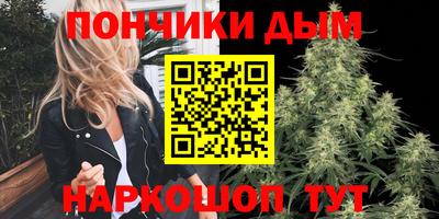 стаф Можга