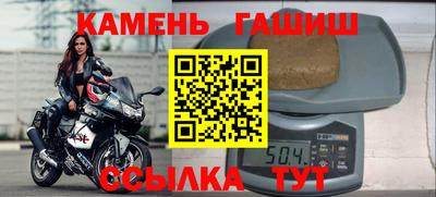 стаф Можга
