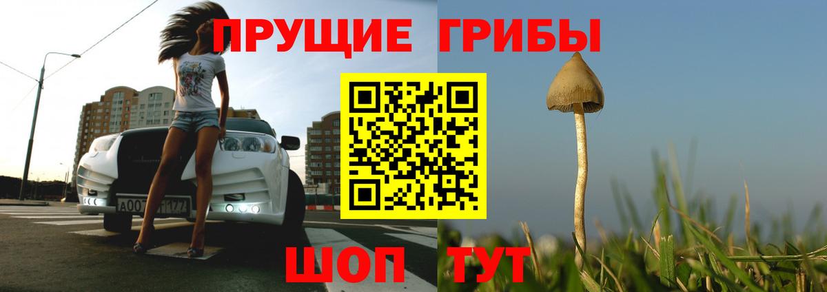 Чебоксары  Псилоцибиновые грибы ЛСД  Вход с VPN 